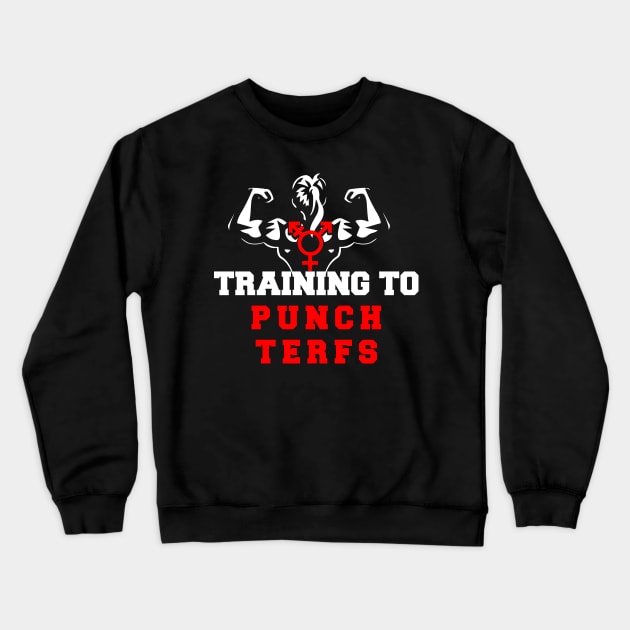 training to punch terfs Crewneck Sweatshirt by remerasnerds